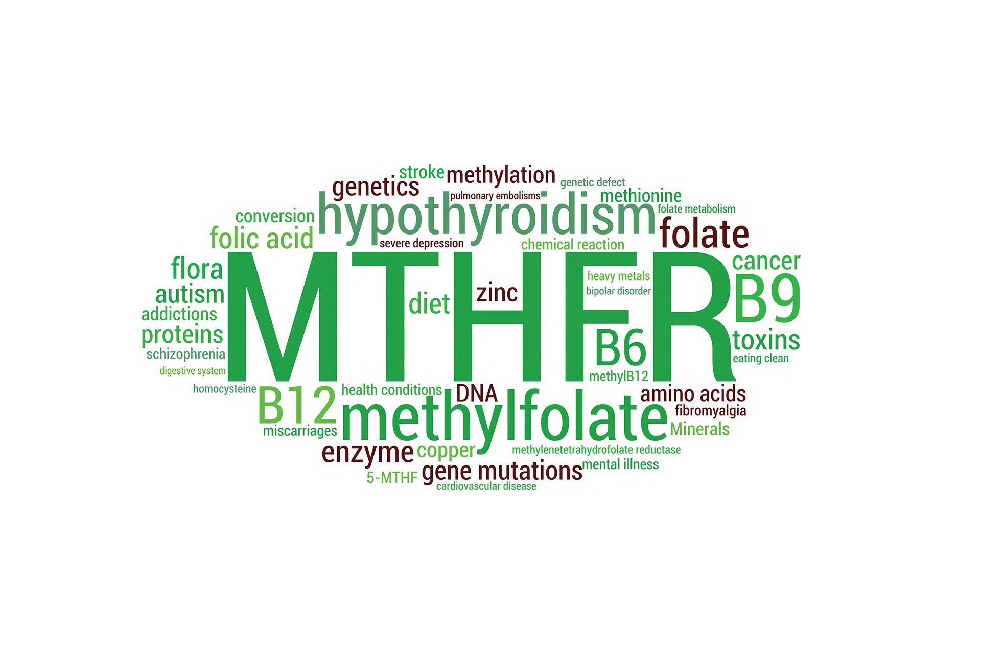 MTHFR Gene Mutation- Simply Understood